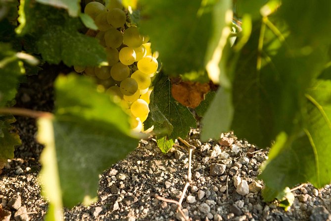 Santorini Wine Tour: Taste 12 Best Wines & 3 Beers With Pairings - Capturing Memories: Traveler Photos