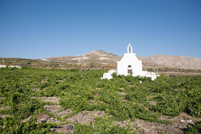 Santorini Wine Tour: Taste 12 Best Wines & 3 Beers With Pairings - Reviews and Ratings