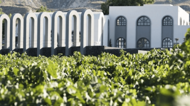 Santorini: Wine Tour With Museum Visit & 3 Wine Tastings - Estate Argyros Experience