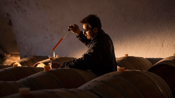 Santorini: Wine Tour With Museum Visit & 3 Wine Tastings - Important Restrictions