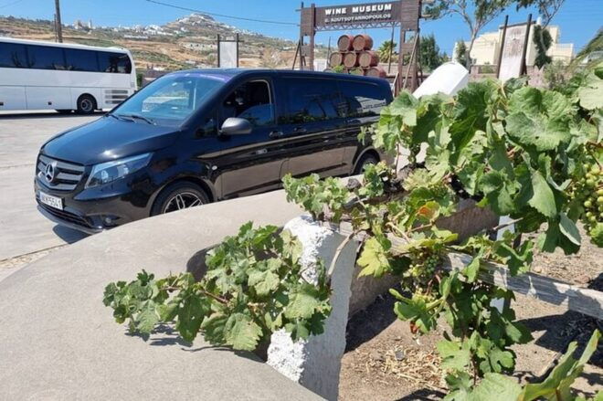 Santorinis Wine Roads: Wine Tasting Tour at 3 Wineries - Wine Experience Highlights
