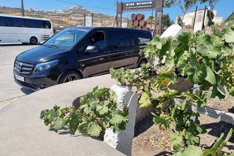 Santorini's "Wine Roads": Wine Tasting Tour at 3 Wineries - Good To Know