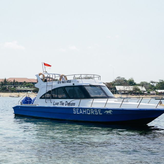 Sanur : Nusa Penida Boat Tour With Private Boat / Yacht - Tour Information