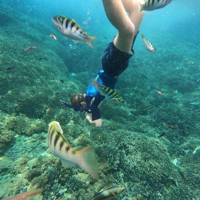 Sanur : Snorkeling at Sanur Coastal Area - Experience Itinerary Details