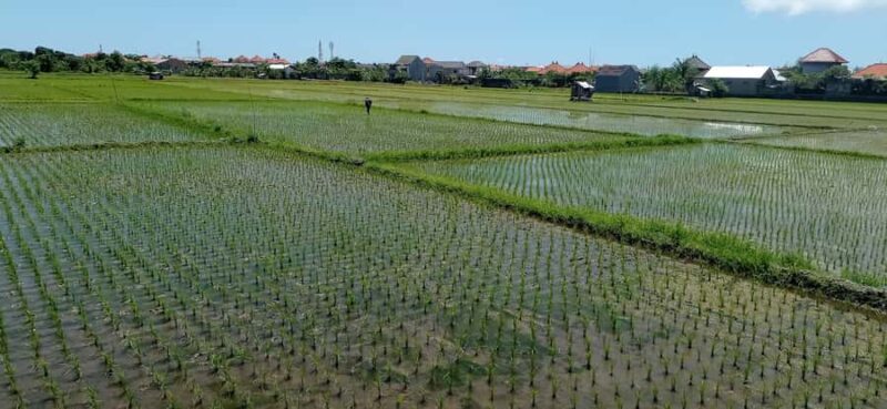 Sanur Village E-bike Tour: Family-Friendly Adventure - The Sum Up