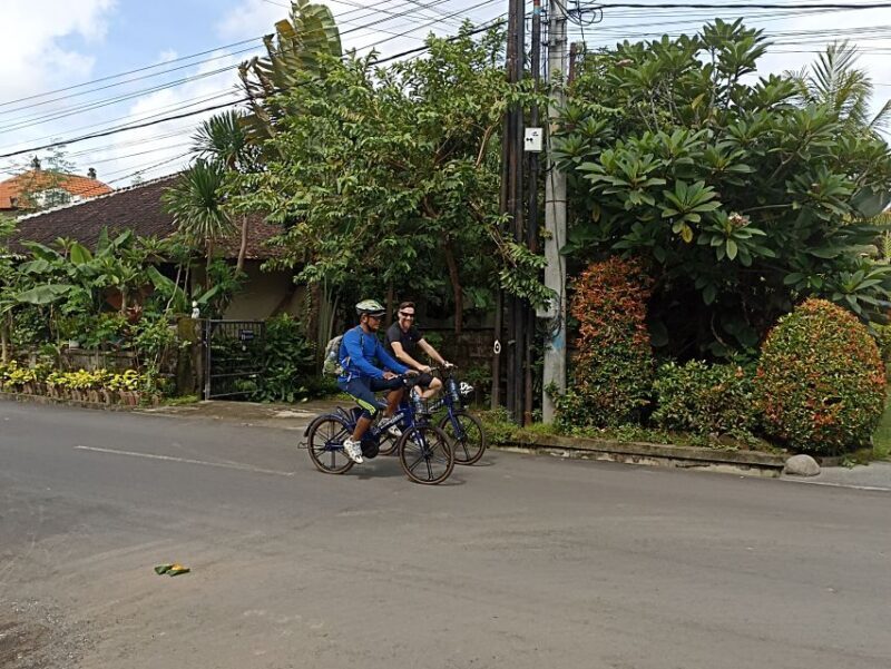 Sanur Village E-bike Tour: Family-Friendly Adventure - The Sum Up