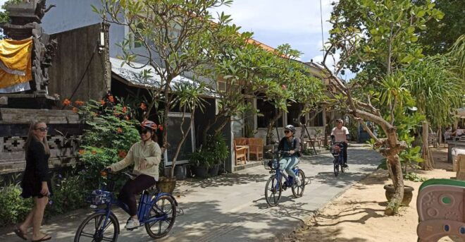 Sanur Village & Turtle Sanctuary E-Bike Tour - Full Description
