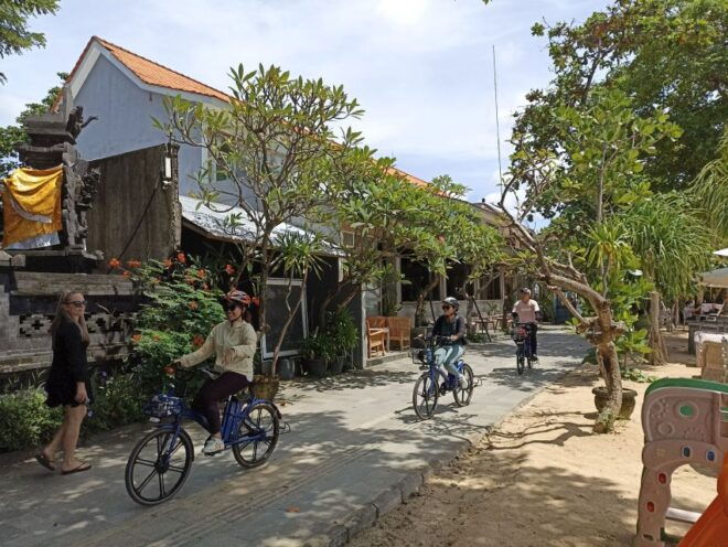 Sanur Village & Turtle Sanctuary E-Bike Tour - Customer Reviews