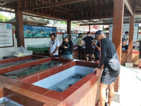 Sanur Village & Turtle Sanctuary E-Bike Tour - Starting Point