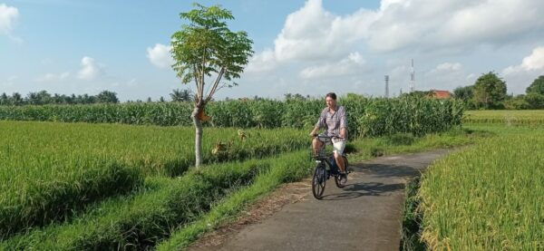 Sanur Village & Turtle Sanctuary E-Bike Tour - Scenic Route Highlights