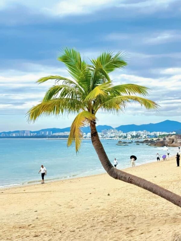 Sanya 2-Day Private Tour: Nanshan Park & Wuzhizhou Island - Good To Know