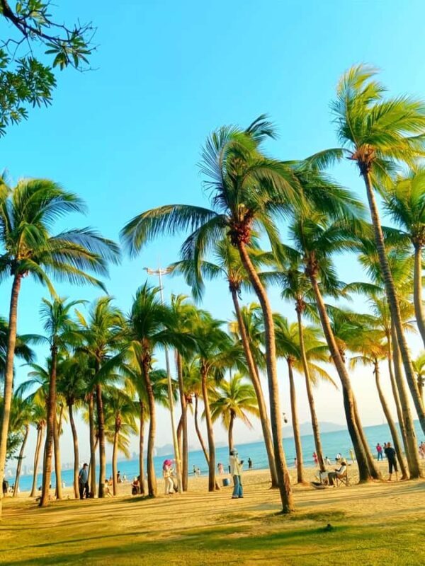 Sanya 2-Day Private Tour: Nanshan Park & Wuzhizhou Island - Practical Insights and Tips