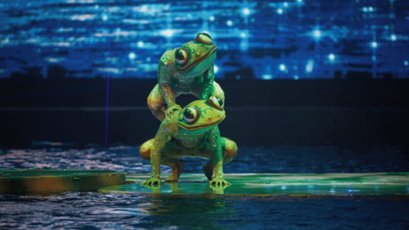 Sanya: Atlantis C Show Performance - What You Can Expect During the Show