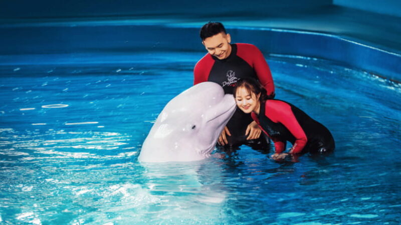 Sanya: Atlantis Lost Chambers Aquarium - Final Thoughts