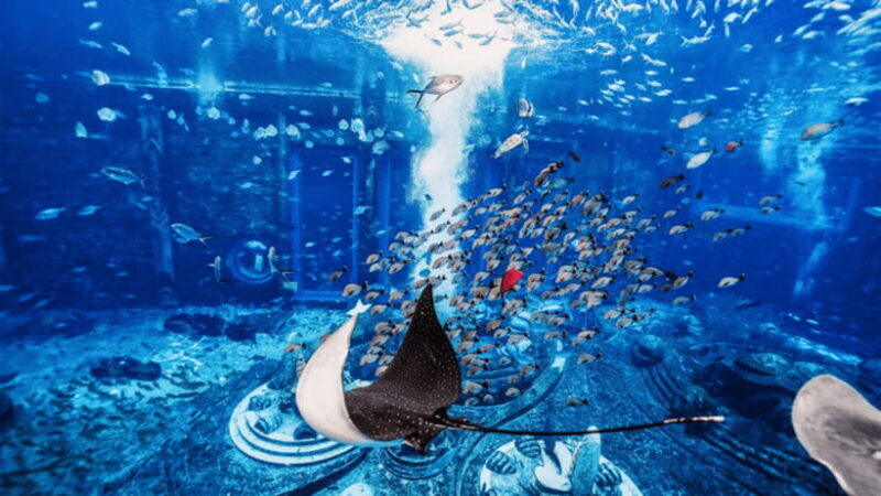 Sanya: Atlantis Lost Chambers Aquarium - What to Expect During Your Visit