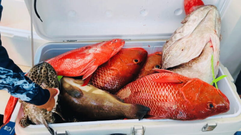 Sanya: Deep Sea Fishing Yacht Experience - An Introduction to Sanya’s Deep Sea Fishing Yacht Tour