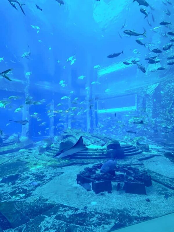 Sanya Haitang Bay Local Discovery Day Tour - Authentic Local Market Experience