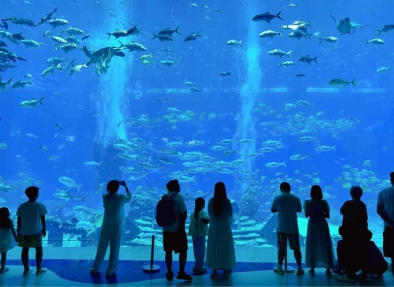 Sanya Haitang Bay Local Discovery Day Tour - Overall Experience and Tips