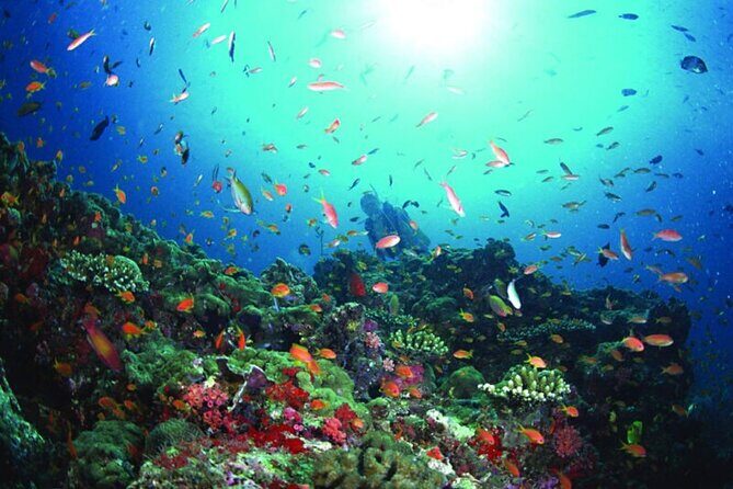 Sanya PADI Open Water Diving Package - What’s Included and What’s Not
