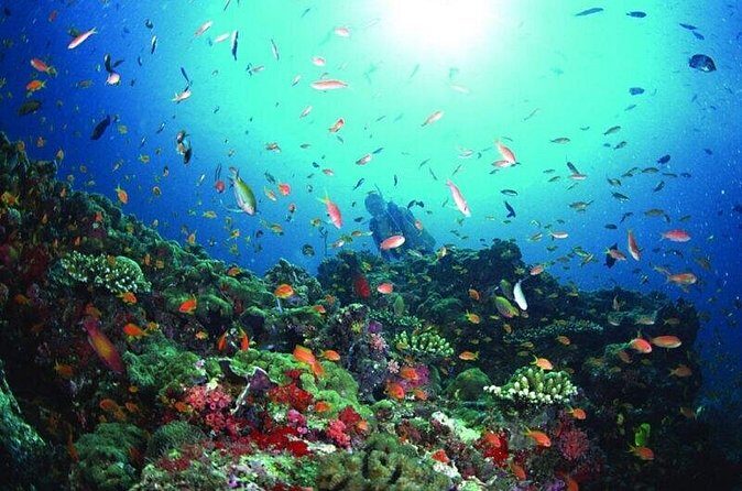 Sanya PADI Open Water Diving Package - Practical Tips for Travelers