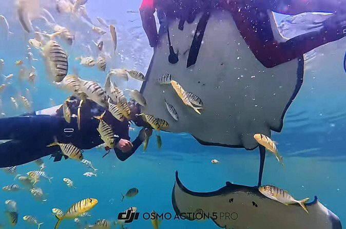 Sanya PADI Open Water Diving Package - Why This Tour Offers Good Value