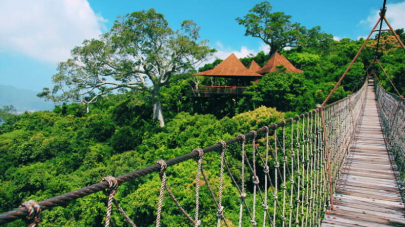 Sanya: Yalong Bay Tropical Forest Ticket and Tour Car - Good To Know