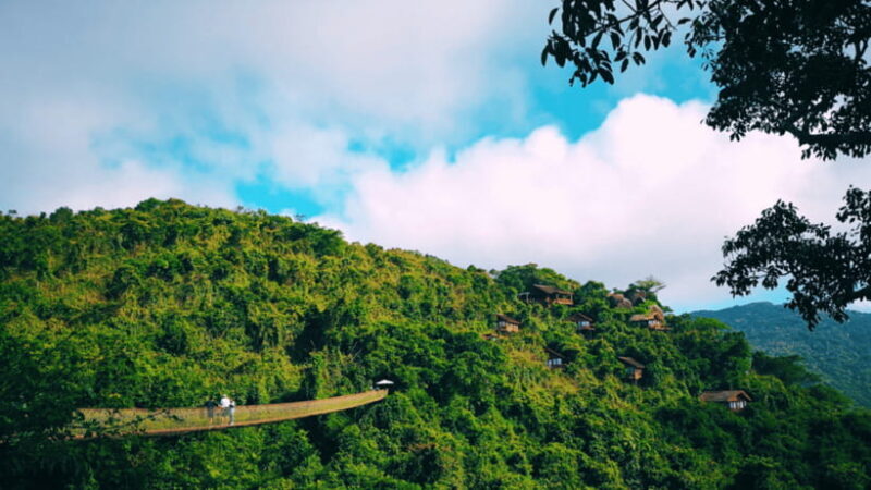 Sanya: Yalong Bay Tropical Forest Ticket and Tour Car - Practical Tips for Visiting