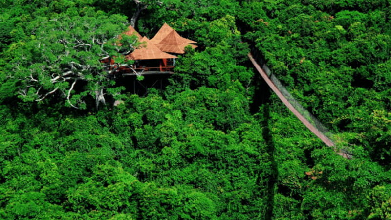 Sanya: Yalong Bay Tropical Forest Ticket and Tour Car - Who Should Consider This Tour?