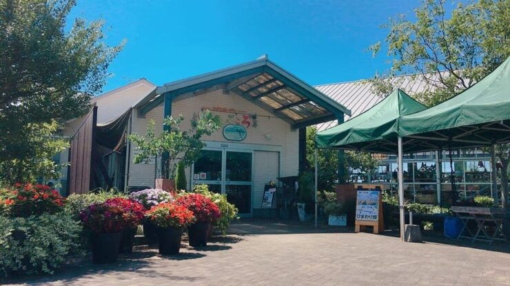 Sanyo Onoda Tour Yamaguchi Prefecture, Japan - Tour Highlights