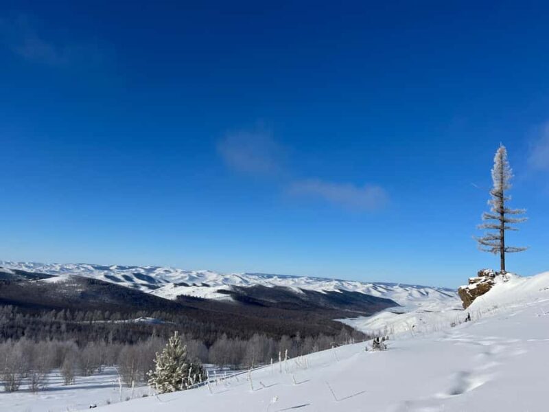 Sanzai: Selbe River Reservoir Hike with Lunch - The Itinerary in Detail