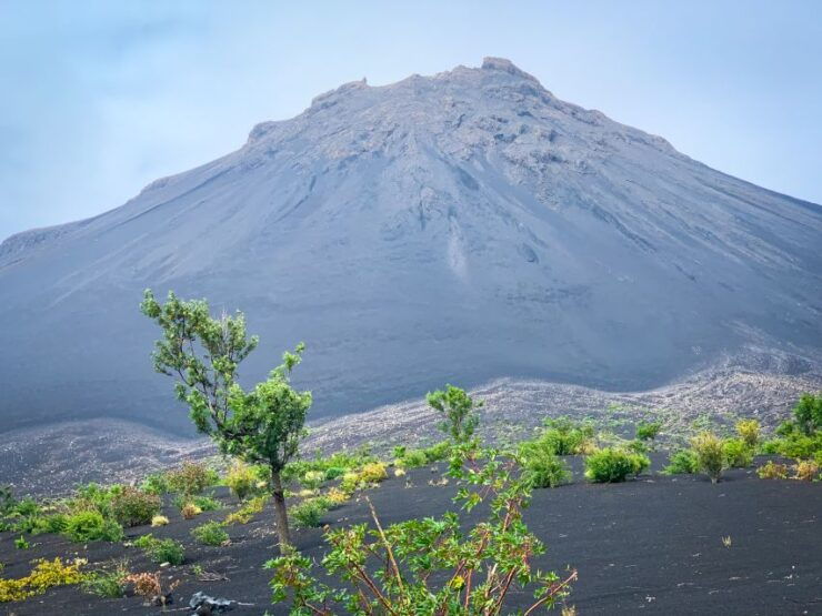 Sao Filipe: Coffee Plantation and Natural Pools Day Trip - Good To Know