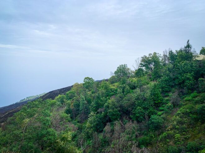 Sao Filipe: Coffee Plantation and Natural Pools Day Trip - Inclusions