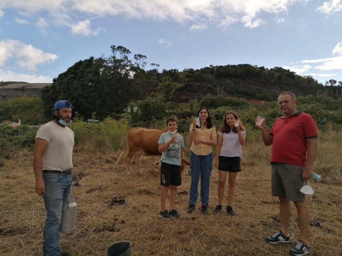 Sao Jorge Cheese Tour - Half day - In The Sum Up