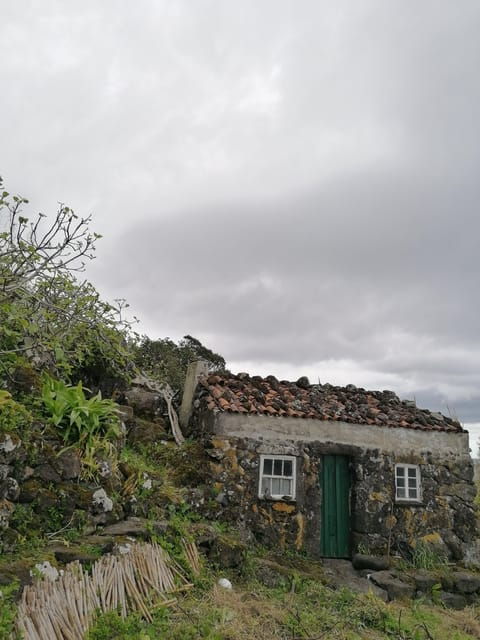 São Jorge: Fajã Camping and Hiking Tour - Good To Know  