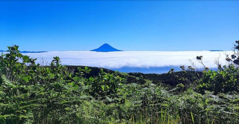 São Jorge: Island, Forest Reserve & Fajãs Guided Tour - FAQ