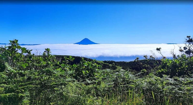 São Jorge Island Panoramic Adventure  4 Hour Tour - Good To Know