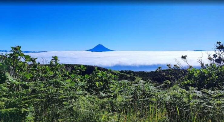 São Jorge: Island Round Trip Up to 4 Hours. - Itinerary Highlights