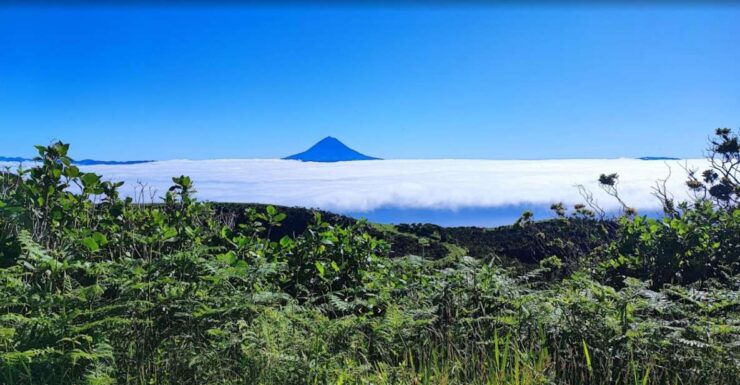 São Jorge: Island Round Trip Up to 4 Hours. - Booking and Payment Information