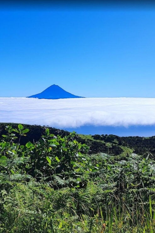 São Jorge: PR01 Hike & Tour - Full Day Adventure - Good To Know