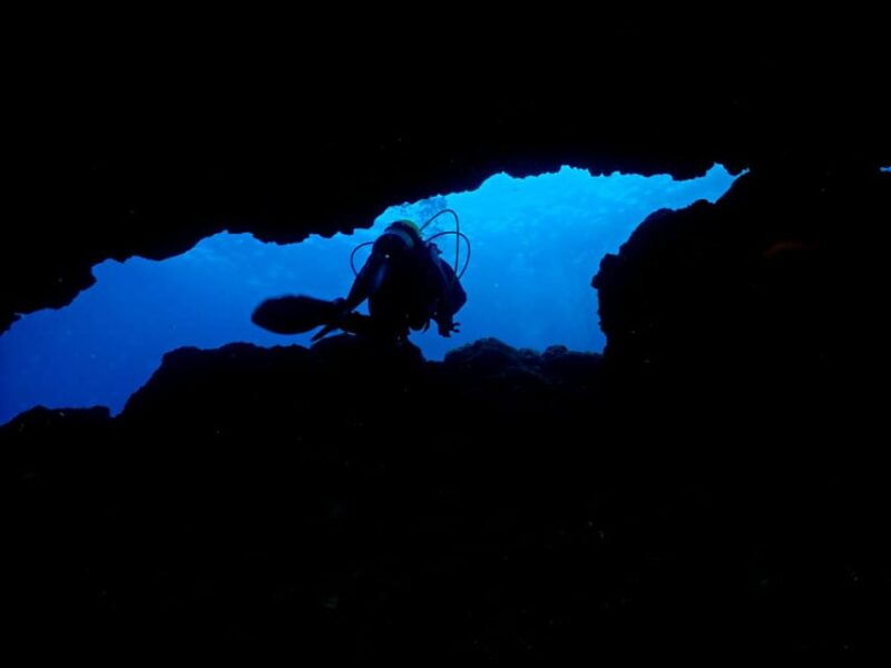 São Jorge: Scuba Diving - 2 Dives (Half Day) - Exploring São Jorge: A Half-Day Scuba Diving Adventure