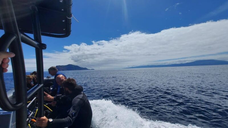 São Jorge: Scuba Diving - 2 Dives (Half Day) - The Sum Up: Is This Tour Worth It?