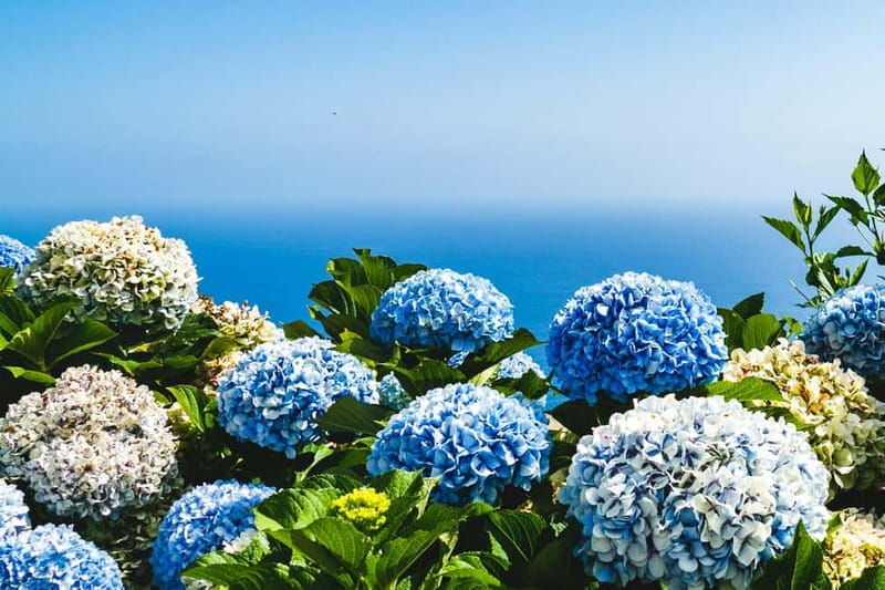 São Miguel: 2-Day Tour, A Perfect Blend of Nature & Culture - Good To Know