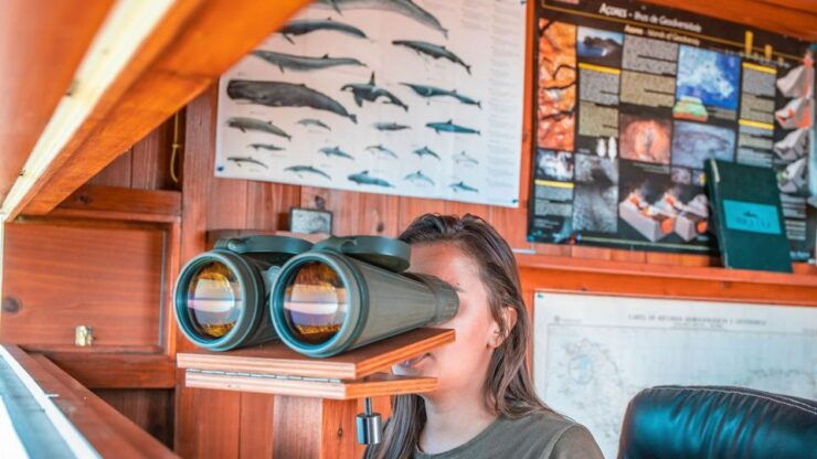 São Miguel: Azorean Whalers Heritage Tour - Tour Pricing and Duration