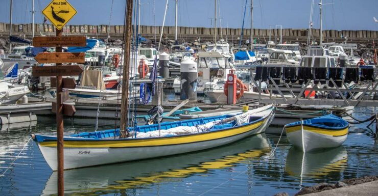São Miguel: Azorean Whalers Heritage Tour - Languages Spoken and Group Size