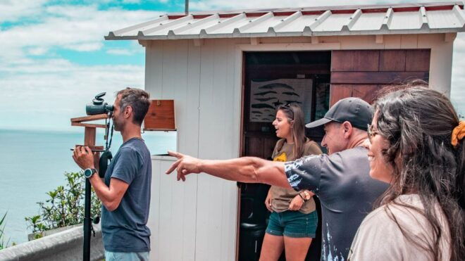 São Miguel: Azorean Whalers Heritage Tour - Activity Highlights