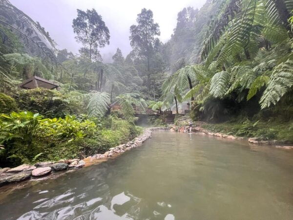 Sao Miguel, Azores: Get to Know the Island With Local Guides - Frequently Asked Questions