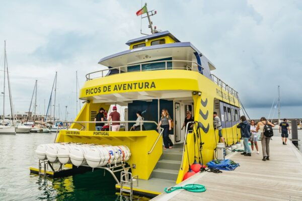 São Miguel Azores: Half-Day Whale Watching Trip - Safety Precautions