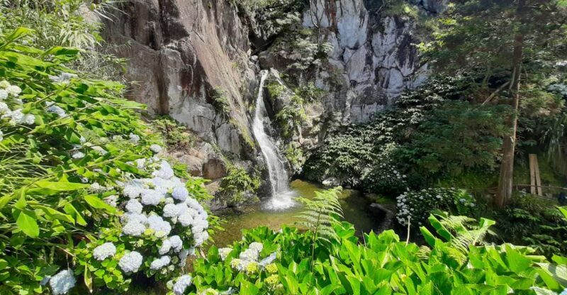 São Miguel Azores: Hike and Snorkeling with a local - FAQs