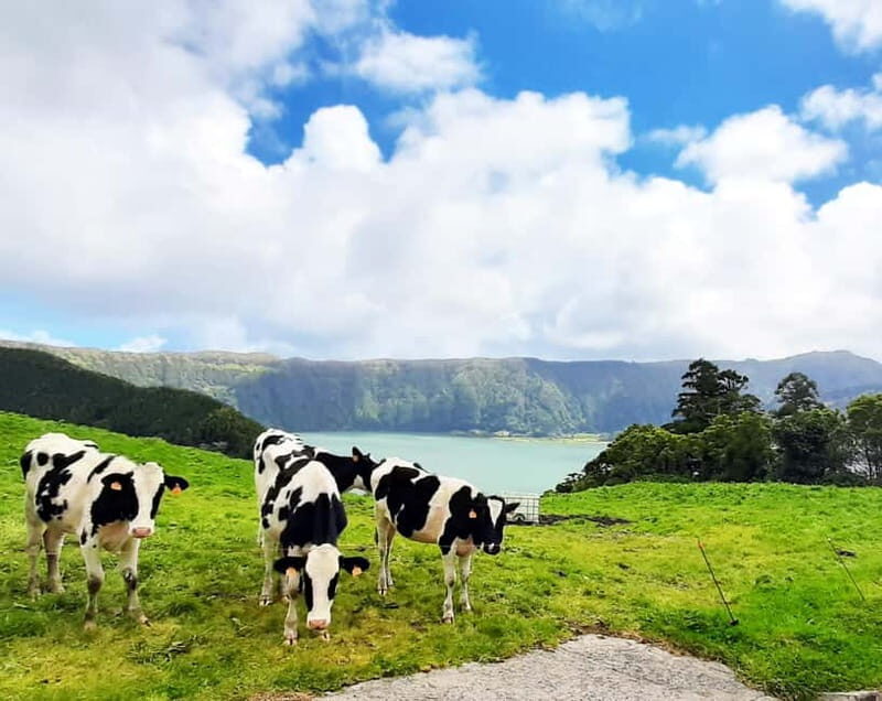 São Miguel Azores: Sete Cidades Guided tour with a local - FAQ