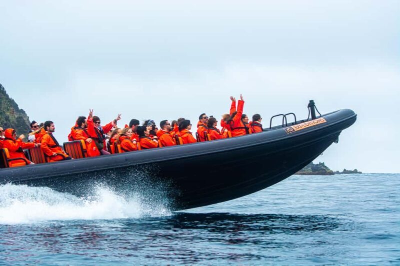 Sao Miguel: Boat Tour of the Wild & Hidden North Coast - FAQ